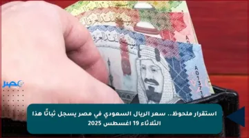 استقرار ملحوظ.. سعر الريال السعودي في مصر يسجل ثباتًا هذا الثلاثاء 19 أغسطس 2025